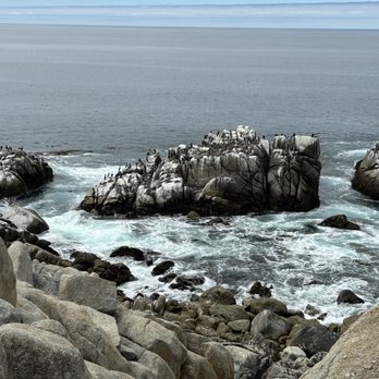 Big Sur Adventures - Bike Rentals Near Me - Pacific Grove, California