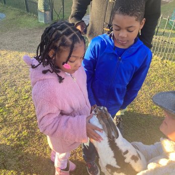 Charming Pony Ranch Parties - Kids Activities Near Me - Gilbert, Arizona Charming Pony Ranch Parties - Kids Activities Near Me - Gilbert, Arizona