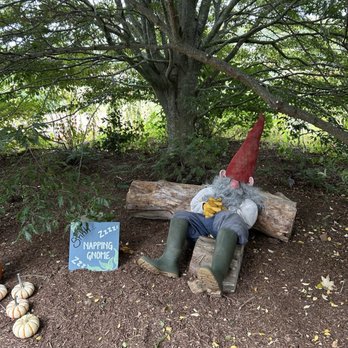 The Farmer's Daughter - Nurseries & Gardening Near Me - Wakefield, Rhode Island