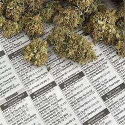 Wholesale Smoke Shop