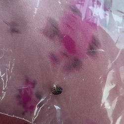 Food Lion - Disgusting bug found in my frozen vegetables