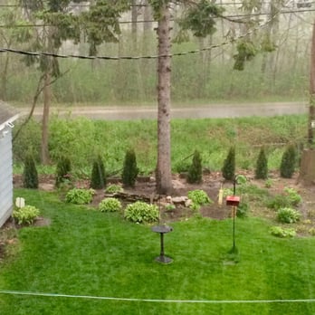 Stein's Garden & Home - The new arborvitaes purchased from Steins today! - Nurseries & Gardening Near Me - Mequon, Wisconsin Stein's Garden & Home - The new arborvitaes purchased from Steins today! - Nurseries & Gardening Near Me - Mequon, Wisconsin