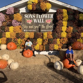 Sons Farm Fresh - Pumpkin patch, fruit stand, small maze for kids - Fruits & Veggies Near Me - Oakdale, California Sons Farm Fresh - Pumpkin patch, fruit stand, small maze for kids - Fruits & Veggies Near Me - Oakdale, California