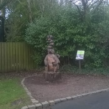 Belfast Zoo - Zoos Near Me - Belfast, BFS