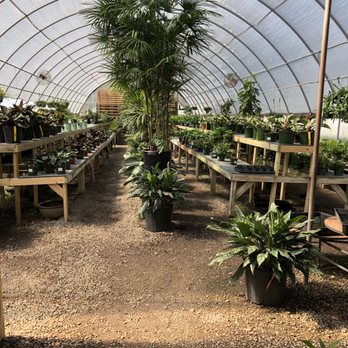 Hewitt Garden & Design Center - Nurseries & Gardening Near Me - Franklin, Tennessee