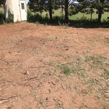 WT Proficient Services - Tree brush - Junk Removal & Hauling Near Me WT Proficient Services - Tree brush - Junk Removal & Hauling Near Me