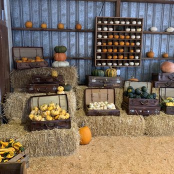 Dolan Creek Farm - The attention to detail from the owners shows how much they invest and care about the experience - Pumpkin Patches Near Me - Boring, Oregon Dolan Creek Farm - The attention to detail from the owners shows how much they invest and care about the experience - Pumpkin Patches Near Me - Boring, Oregon