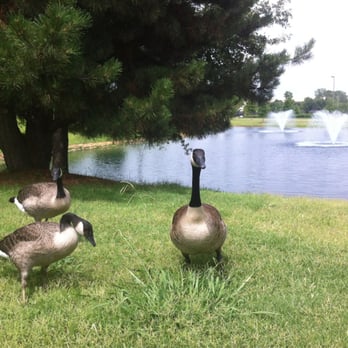 Oklahoma State University-Tulsa - My view while I study. - Colleges & Universities Near Me - Tulsa, Oklahoma