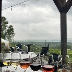 Vignoble Isle de Bacchus - Tasting
