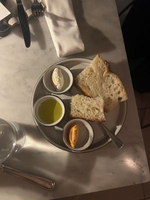 Forsythia NYC by null