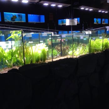 Big Al's - Plants - Pet Stores Near Me - Edmonton, Alberta Big Al's - Plants - Pet Stores Near Me - Edmonton, Alberta