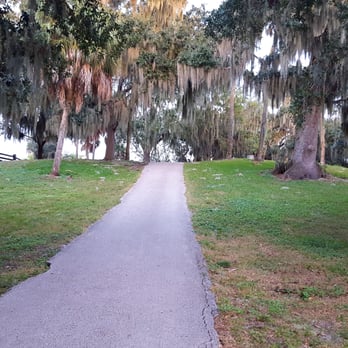 Philippe Park - Much taller than portrayed in the picture. - Parks Near Me - Safety Harbor, Florida