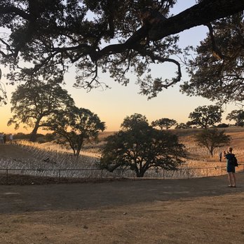 Sensorio - As the sun sets, before lights. - Art Galleries Near Me - Paso Robles, California