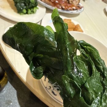 Vinh Kee Restaurant - #176. Chinese Broccoli or You Choi Oyster Sauce - Dim Sum Near Me - Falls Church, Virginia Vinh Kee Restaurant - #176. Chinese Broccoli or You Choi Oyster Sauce - Dim Sum Near Me - Falls Church, Virginia