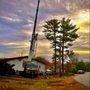 Photo of Rich's Tree Service