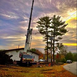 Rich's Tree Service