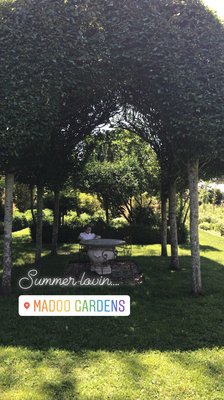 The Madoo Conservancy by null