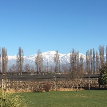 Trout & Wine Tours - Great scenery of the Andes from our tour - Wine Tours Near Me - Mendoza, M