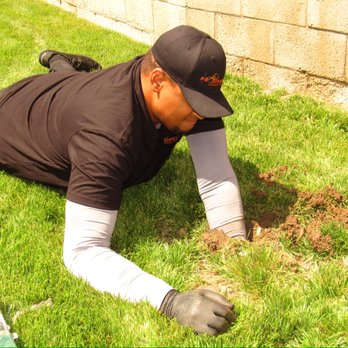 Progressive Pest Control - Got gophers?? No problem!! - Pest Control Near Me - Lake Forest, California Progressive Pest Control - Got gophers?? No problem!! - Pest Control Near Me - Lake Forest, California