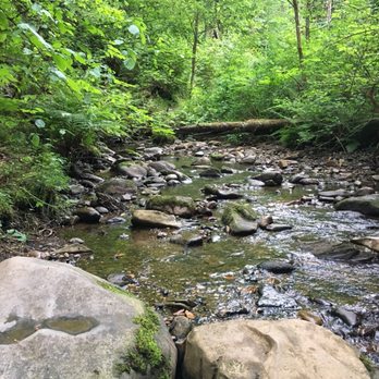 Coal Creek Natural Area - One of many streams and waterfalls you will come upon - Parks Near Me - Bellevue, Washington Coal Creek Natural Area - One of many streams and waterfalls you will come upon - Parks Near Me - Bellevue, Washington