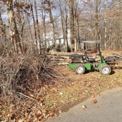 Green Zebra Landscaping