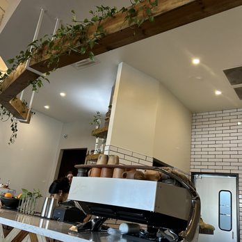 Xaman Cafe - Bar area - Cafes Near Me - Dallas, Texas