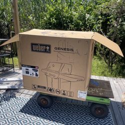 Costello's Ace Hardware Of East Islip - My assembled grill purchased at Costello ace hardware in East Islip