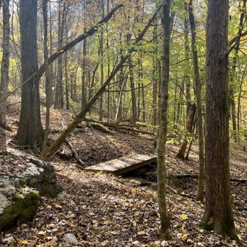 Edgar Evins State Park - Parks Near Me - Silver Point, Tennessee