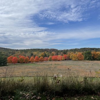Storm King Art Center - Art Museums Near Me - New Windsor, New York