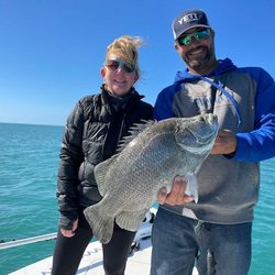 Palm Island Outfitters