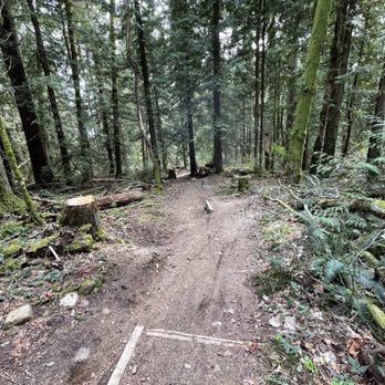 Burnaby Mountain Trail - Hiking Near Me - Burnaby, British Columbia