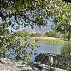 Horse Thief Park