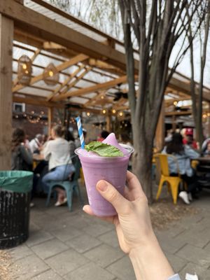 PHS Pop Up Garden at South Street by null