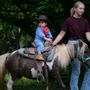 Photo of Ponies Plus