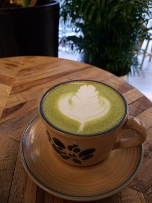 Rustle & Still Café by null
