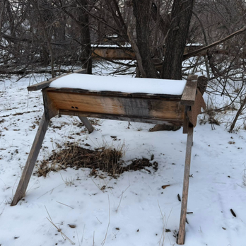 ABeeLene Beekeepers - Wildlife Control Near Me - Abilene, Texas