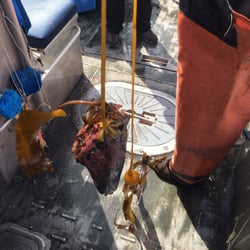 user provided Kodiak Island Adventures photo