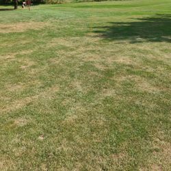 Greens on first hole