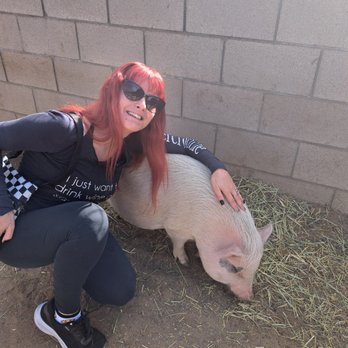 Love Always Sanctuary - Animal Shelters Near Me - Sun Valley, California Love Always Sanctuary - Animal Shelters Near Me - Sun Valley, California