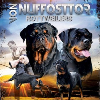 Von Nuffosttor Rottweilers - Pet Breeders Near Me
