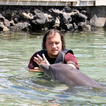 Dolphin Quest - Dan and Dolphin. - Tours Near Me - Waikoloa, Hawaii Dolphin Quest - Dan and Dolphin. - Tours Near Me - Waikoloa, Hawaii