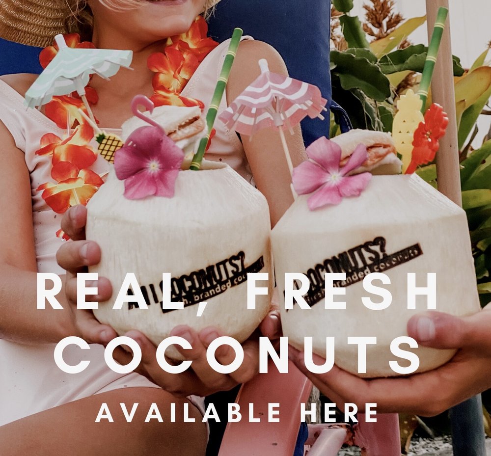 AMI COCONUTS Updated May 2024 Request Information Holmes Beach