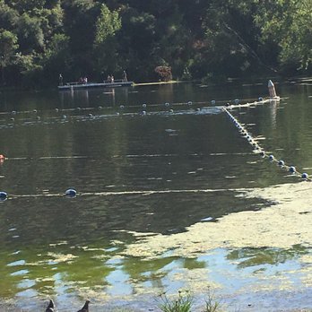 Lake Temescal - Look at all that algae - Parks Near Me - Oakland, California