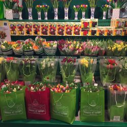 House Of Tulips