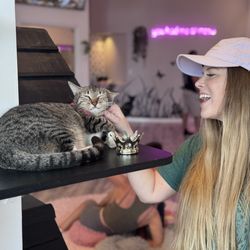 Cat Cafe Maui