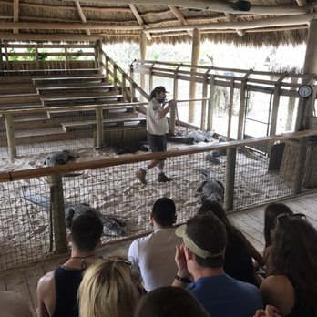 gator park - Boat Tours Near Me - Miami, Florida gator park - Boat Tours Near Me - Miami, Florida
