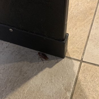 Regal Gallery Place - Hey Regal! Nice roaches in the women's restroom!!! Gross!!!! - Cinema Near Me - Washington, DC, District of Columbia