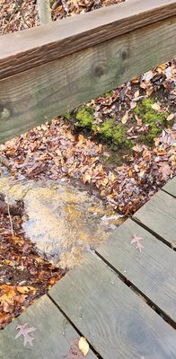 Anita C Leight Estuary Center by null