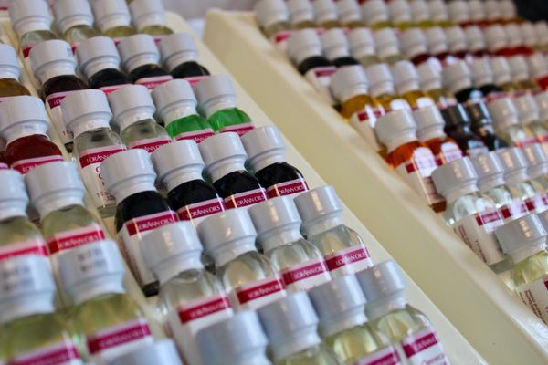 Wittich's Candy Shop by null