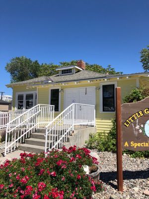 Little Golden Goose by null